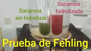 Hidrólisis Ácida de la Sacarosa | Prueba de Fehling | Ruptura de Enlace Glucosídico de la Sacarosa