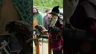 SLEEPY HOLLOW OWL SHOW RENAISSANCE FAIRE #cosplay #animals #birds #renaissance #play #art #festival