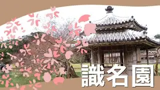 【識名園】世界遺産を散歩しました‼️【世界遺産】【散歩】【那覇】【園庭】【自然】【沖縄観光】