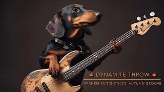 Frankie Matchsticks&rsquo; Autumn Groove (Bass Groove) #bass #instrumentals #bassfeatured #funky