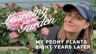 Learning to Grow Peonies | 8 Years of Trial, Error, and Blooms