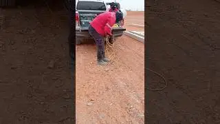 PDA test of piling #PS STAR  information
