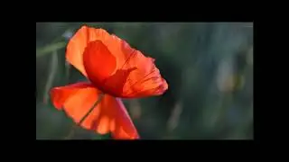 Adi Shakti mantra