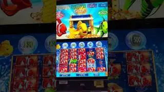I was not ready for the RED, GOLD, and GREEN fish BONUS #winning #bonus #casino #slots #jackpot #win