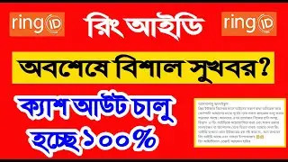 রিং আইডি ক্যাশ আউট চালু হচ্ছে কবে থেকে? | Ring Id cash out process | Ring id Agent news today