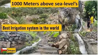 Best Irrigation System in the world|Arab Nation best Falaj system|Natural wonder|mountain irrigation