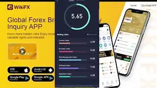 WikiFX | Full review on Dollars Markets 2022