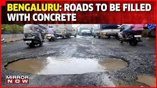 Bengaluru Civic Apathy: 1 Biker Seriously Injured Due To Pothole | Top News