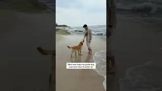 Blind man helps guide dog overcome fear of water #shorts