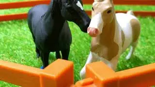 Schleich horse music video ~driver’s license~