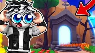 NOWY HALLOWEEN UPDATE JEST NIESAMOWITY W PET QUEST! Roblox