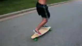 the Loaded Pintail