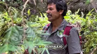 LA RESERVA DE LA BIOSFERA DE EL CIELO EN GÓMEZ FARÍAS, TAMAULIPAS, MÉXICO. 