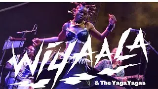 Wiyaala & The YagaYagas - Kamfest, Slovenia 2022