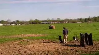 Dixie Land Double 4-4-2015