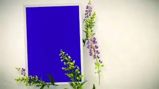 Wedding Invitation frames  Blue Screen 4K