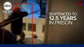 Jan. 6 rioter who used stun gun on officer sentenced l WNT