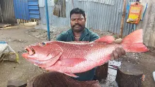 AMAZING SELVAM FISH CUTTING SKILLS// fishcuttingskills #ragaviceseafoods #kasimedu selvam