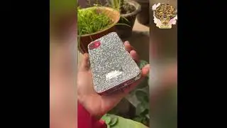 Buy Glitter Shimmer Case | iPhone 11 & iPhone 12 Series