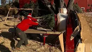 Mass. Christmas tree farm already seeing surge in sales