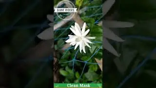 How to clean mask easily