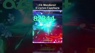 C6 WANDERER 0 CYCLES CAPYBARA