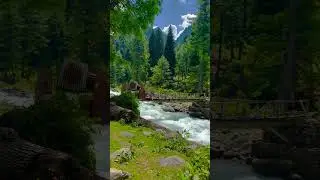 Hidden Gem of Kashmir 🏔️ | Naranag, Ganderbal $#trending #northernareasofpakistan