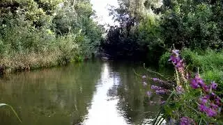 Медитация #shortsvideos #alone  #natural #relaxing #travel #meditation