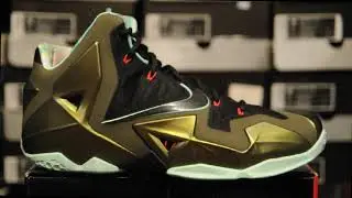 2013 Nike LeBron XI (11) ''King's Pride''