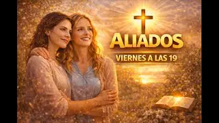 🛡️ ALIADOS
