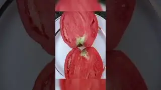 Томат семейная реликвия Польская слива т&euml;ти Сварло🍅🍅🍅