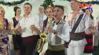 Armin Nicoara - Revelion 2017 HORA TV