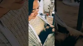 Baby sling for a different kind of baby... #cat #wrap #diy