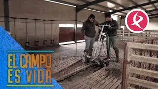Los Mellis invierten en una maquina de purines para la limpieza del cebadero | El campo es vida
