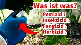 Unterschiede Pestizid, Insektizid, Fungizid und Herbizid