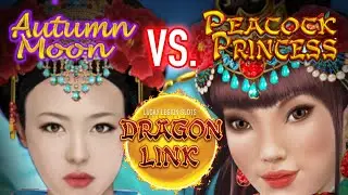DRAGON LINK 🔴 Autumn Moon Vs. Peacock Princess ❤️ Who do you pick to WIN?