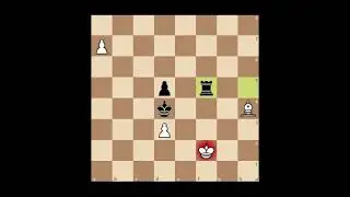 Endgame Study 29  - Lonely Bishop dominating Black's Rook and King