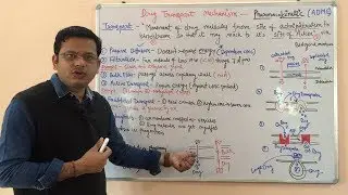 Drug Transport Mechanism In Biological Membrane | Drug Transport Across Cell Membrane | Pharmacology