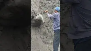 levering a large stone