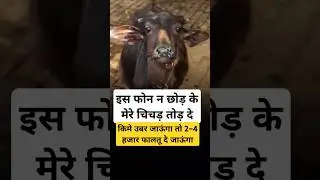 CET का पेपर हो लिया,इब यो काम भी जरूरी है।#hssc #cet #cet2025 #viral #video #shorts #comedy