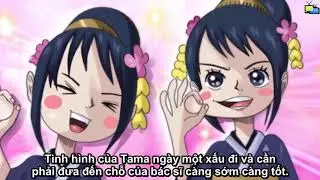 [ One Piece ] Chapter 913 tiếng Việt : Cuộc chiến giữa Luffy , Zoro v&agrave; Hawskin || Truyện Tổng Hợp-K