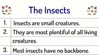 Insect Essay 10 Lines || Insect Essay in English
