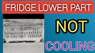 Double Lower Part Not cooling!! Double Door Fridge Cooling Problem 