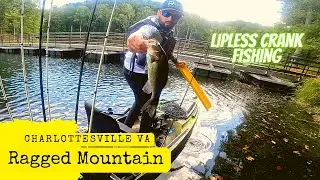 Kayak Bass Fishing Ragged Mountain, Charlottesville VA Lipless Crankbait Fishing the Fall Transition