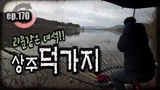 [ep.170] 물이 겁나게 불었다!! 붕어들도 움직인다!! 상주 덕가지의 늦은 만수!! #덕가지 #산란철 #산란붕어 #한방터 #히든피싱