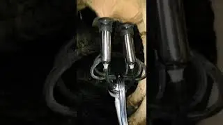 Cow Milking Machine