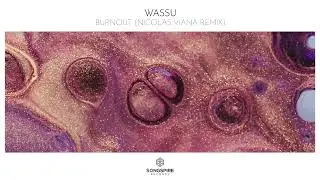 Wassu - Burnout (Nicolas Viana Remix)