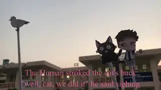 The Story of a seagull and the cat who taught her to fly