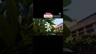 8th International Conference On Translational Research KIIT Bhubaneswar Happy Diwali 2025 sweet vlog