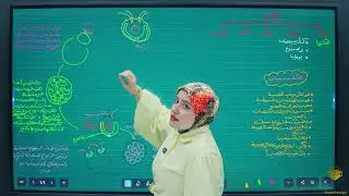 التكاثر في الكلاميدوموناس/الفصل الثالث/المحاضرة8/ احياء السادس الاعدادي /أ. رنين ادريس الطائي 